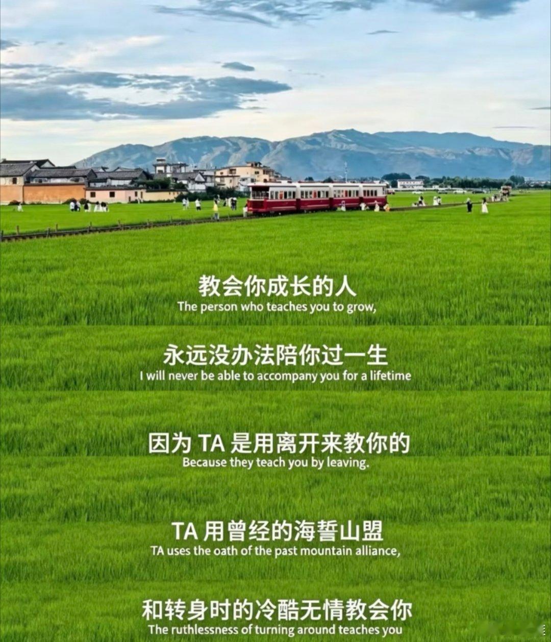看来我从来没有成长，你是来教我的吗 