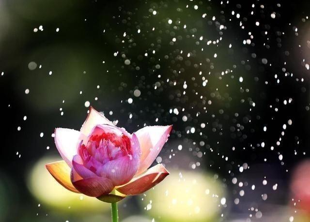 雨天怎么拍大片？别急着收起手机，掌握这些方法，雨景也能拍出高级感

一场雨，可能