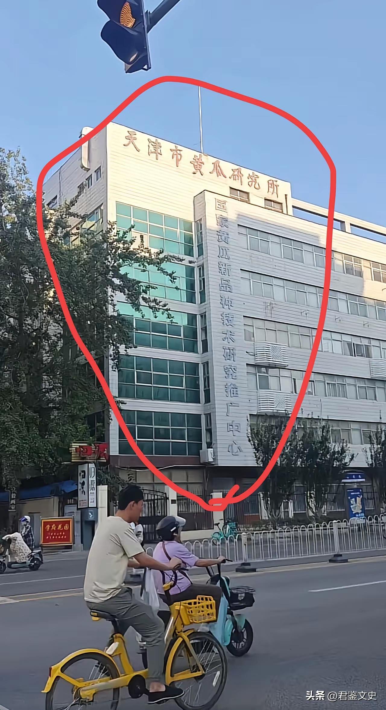 天津市黄瓜研究所，乍一看感觉挺冷门的单位，但是看看下边的字，“国家黄瓜新品种技术