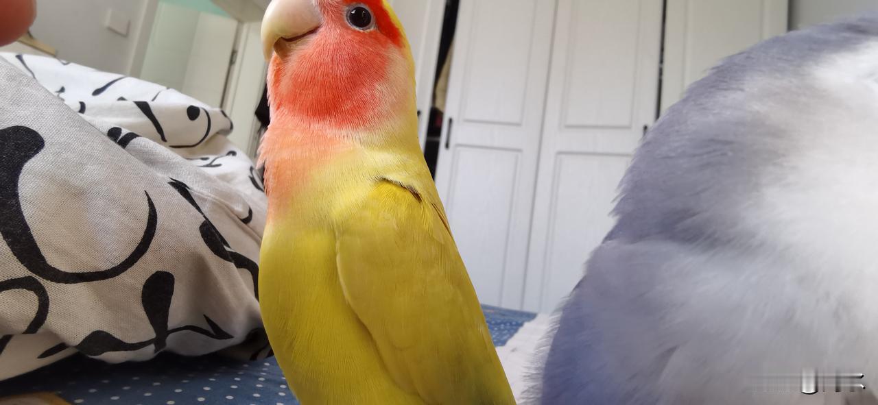 老婆变心，为何很多男人舍不得离婚？因为没想开，想开了就会离婚了。

在情感的世界