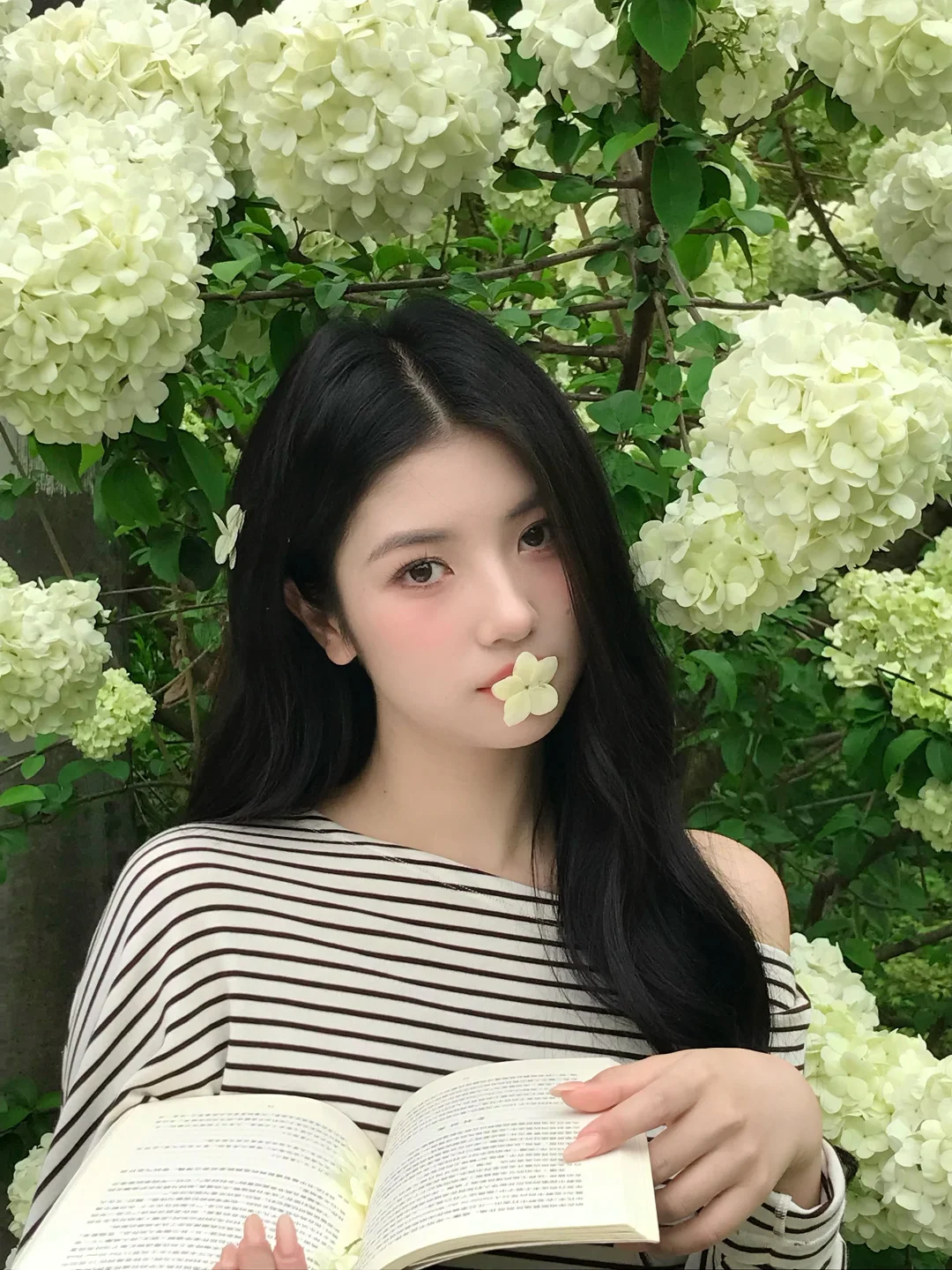 春日来信🕊️🍃