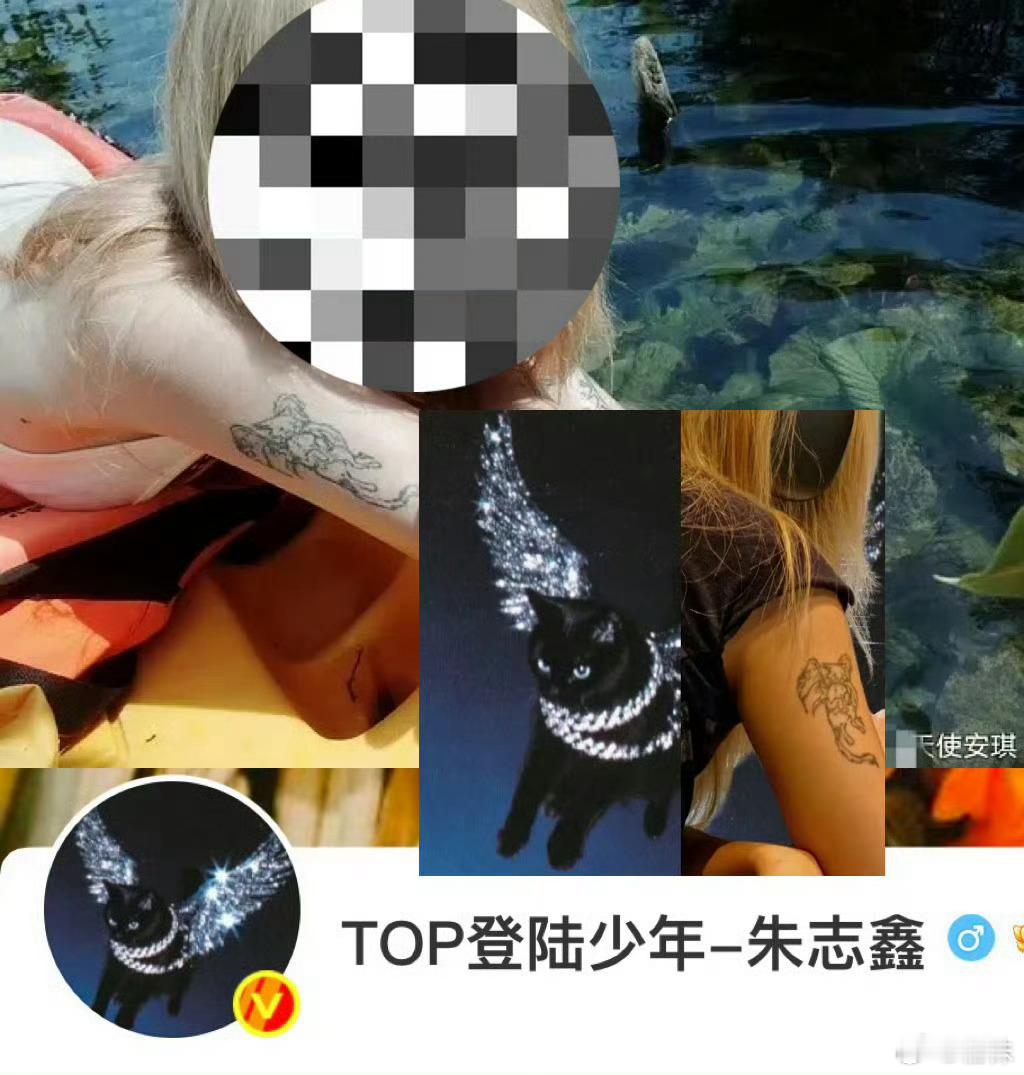 宝贝天使安琪 1️⃣朱志鑫猫天使头像是嫂的纹身2️⃣嫂是🇬🇧留学生，朱志鑫今