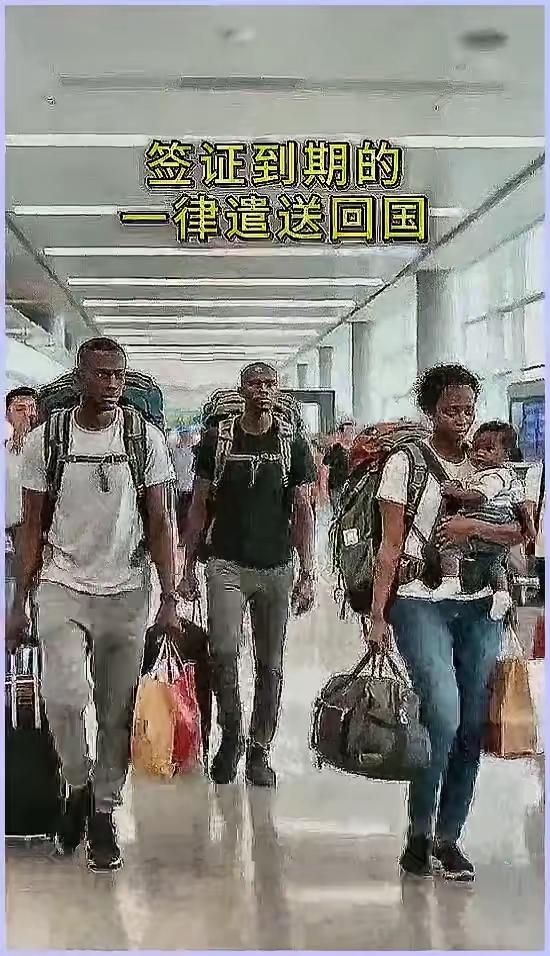 签证到期了，被遣送回国。
他们一个个愁眉苦脸。
看得出，他们对东大很是依依不舍。