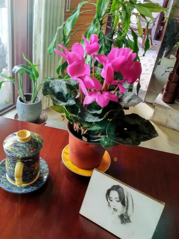 但从观众角度看，实在太出戏。18岁少女的神态、体态，岁月哪能完全复刻，再强的滤镜