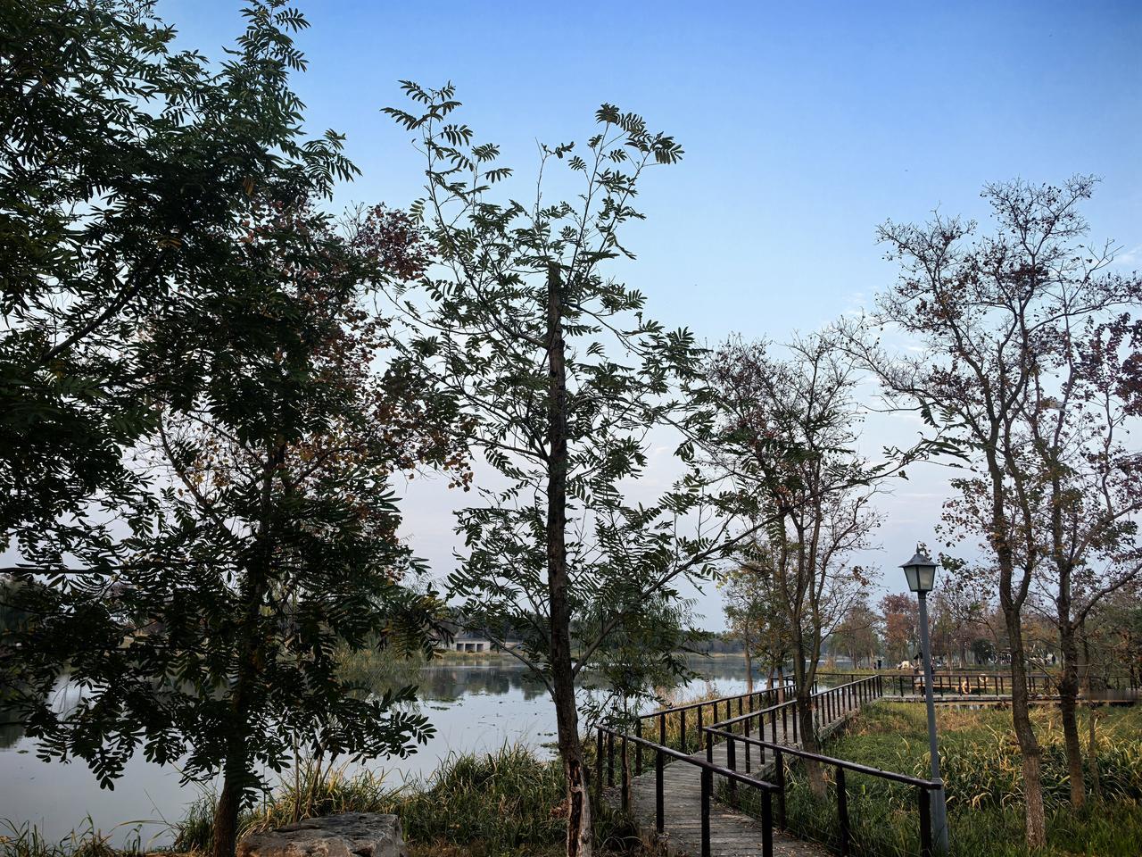 这哪里还是婚姻，分明是场单方面的围剿。
男人借钱养第三者，回头却把妻子当仇人骂，