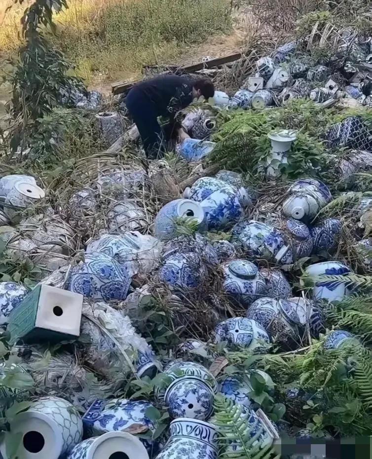 这是不是走狗屎运了？全部弄回家那不是要发了吗？[what]