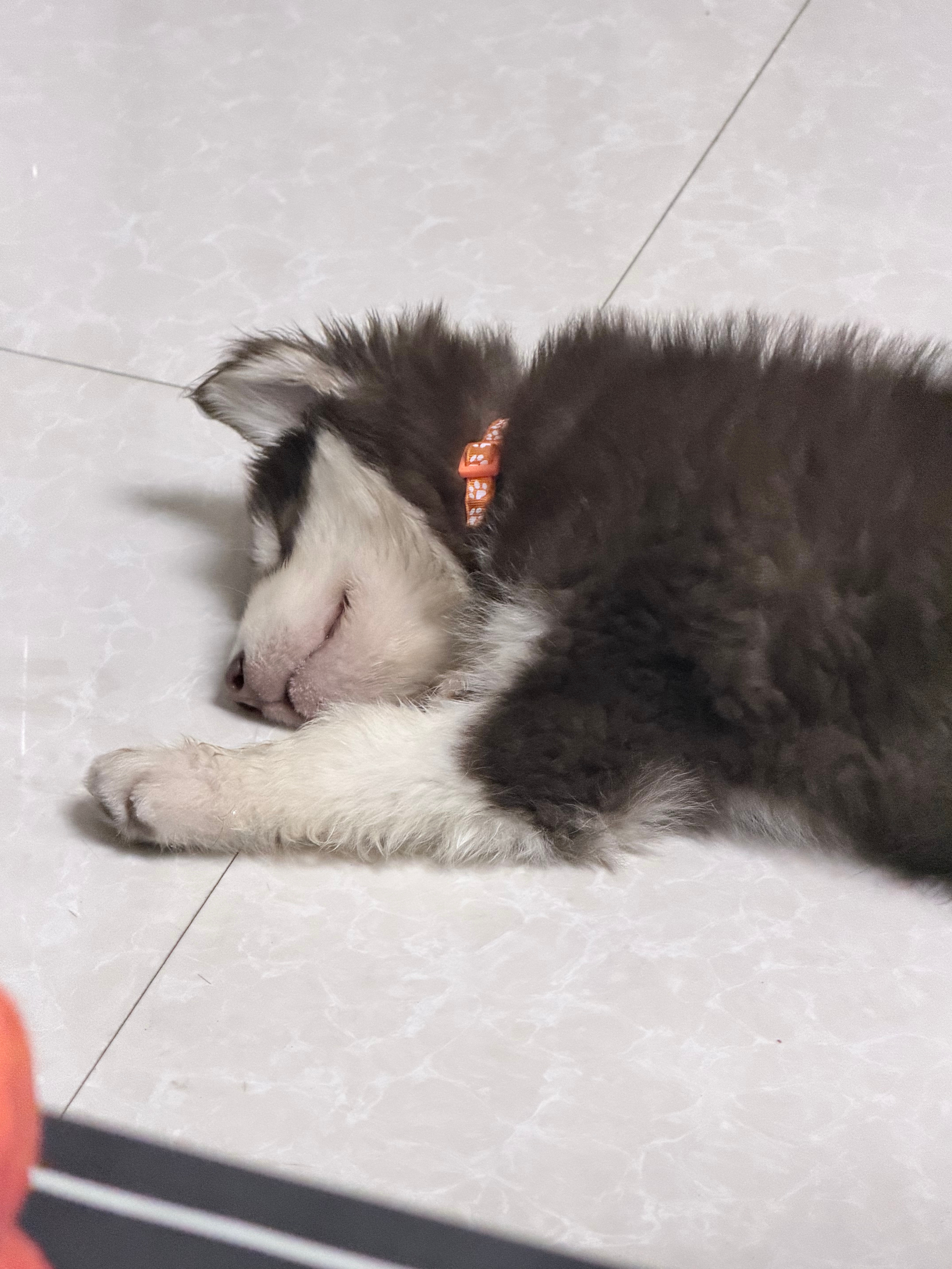 晚安😴 