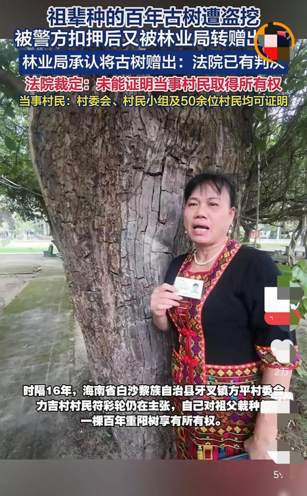 贼都笑了：这和我有什么区别？

说真的，这事给所有家里有老物件、老树的人都敲了个