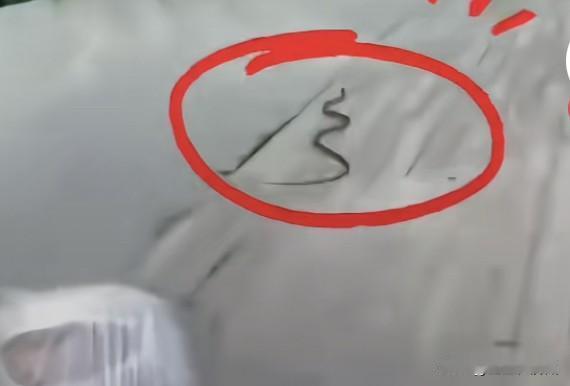 女孩玩水滑梯时遇到一条蛇，
吓得女孩一路大叫，
从这条蛇的状态来看，
它恨不得自
