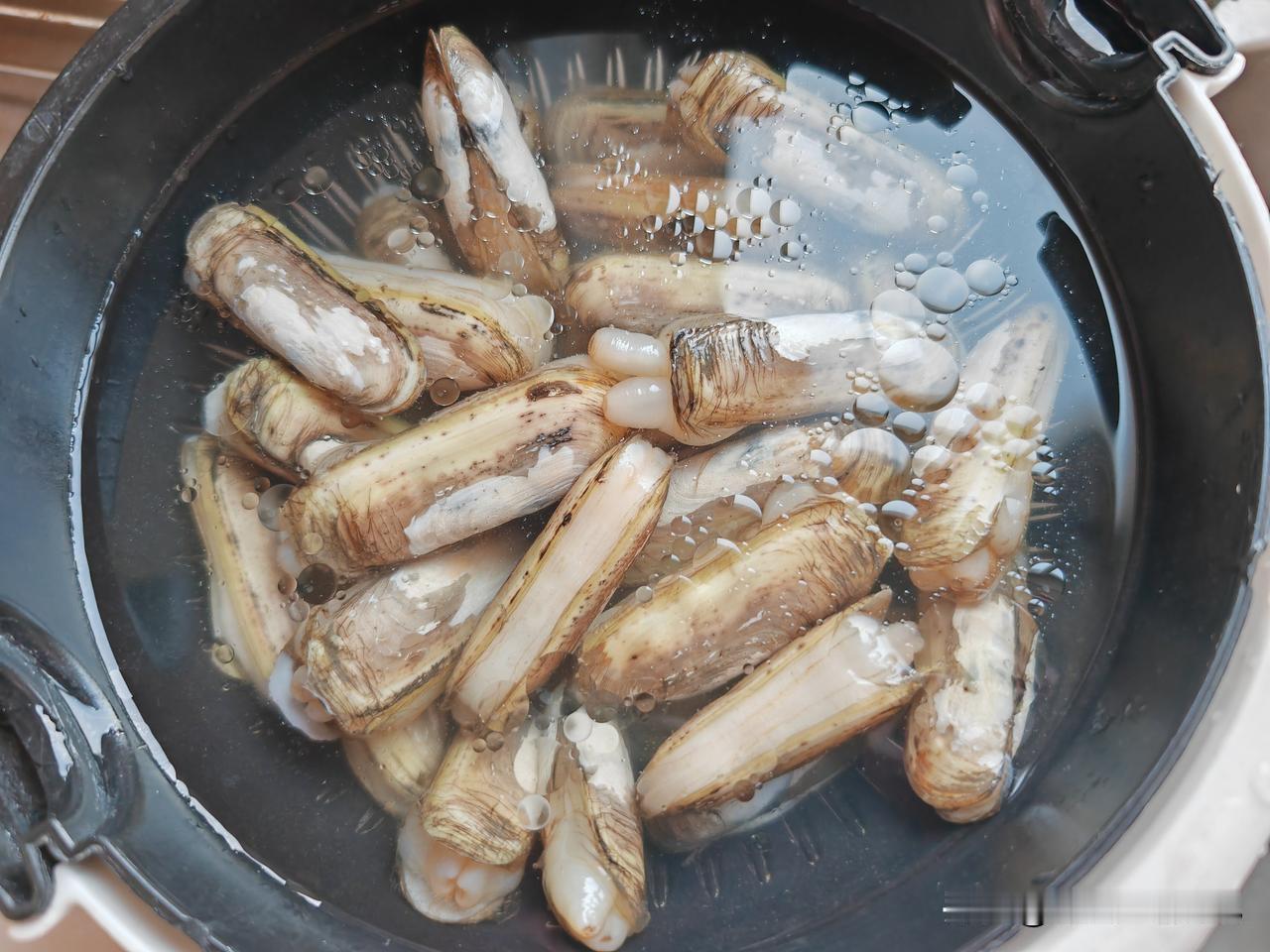 四口人的晚餐分享～
[微风]炒蛏子
[微风]红烧大头虾
[微风]素炒西兰花和彩椒