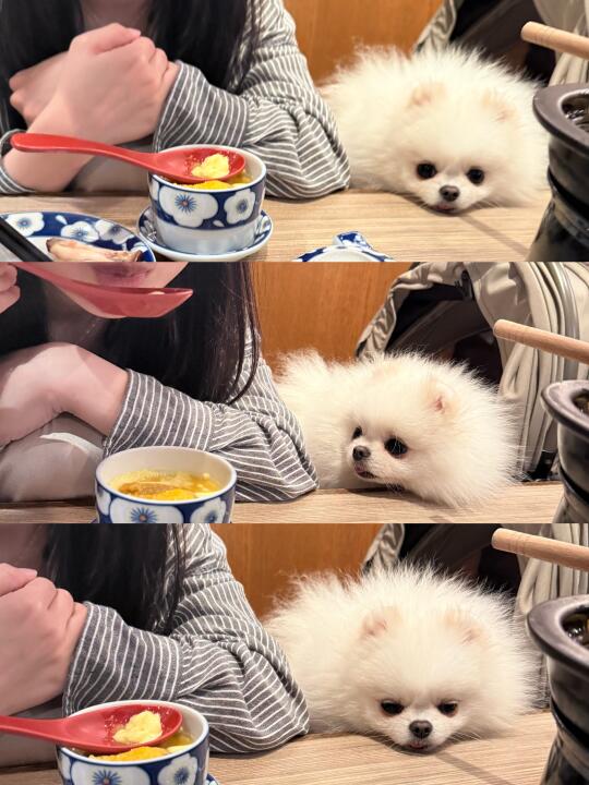 眼巴巴