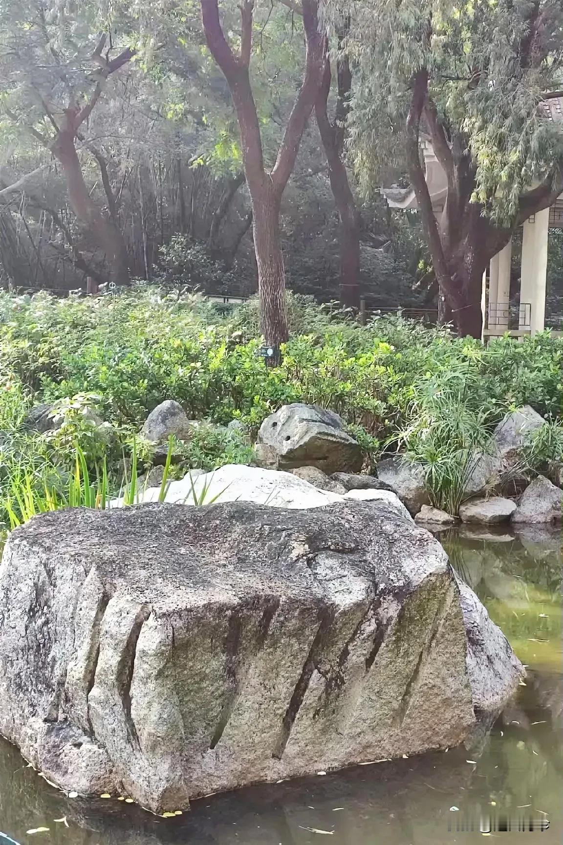 70后，那些说自己孩子结不结婚都无所谓的父母，还有生不生孩子也不重要的人啊！实际
