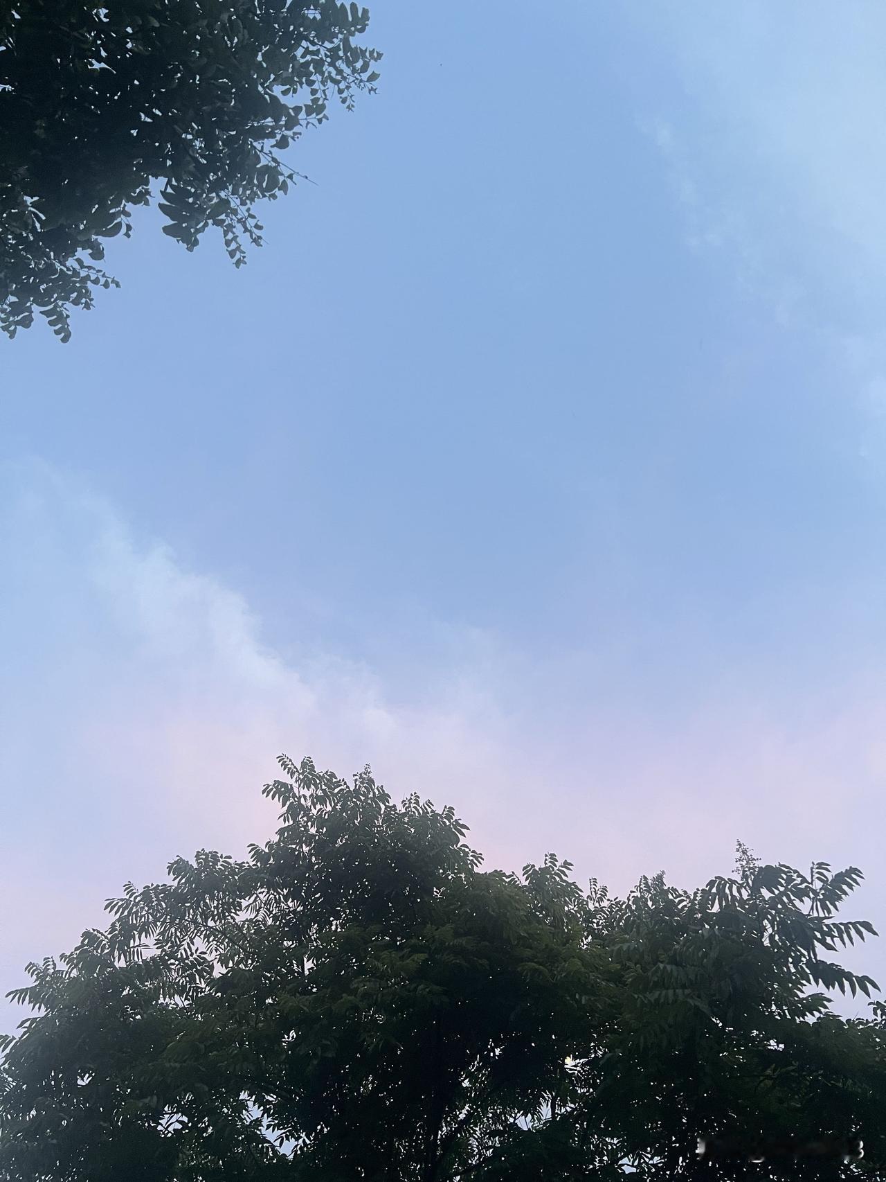 别怪我没说哦，
让你们做点心理准备，
还有九天吧，
也就是7月15号早晨正式迎来