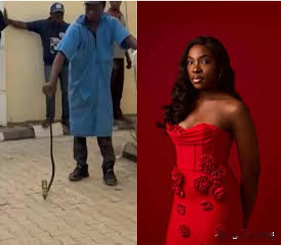 《尼日利亚之声》歌手遭眼镜王蛇袭击 睡梦中被毒蛇猛咬身亡！

据外媒报道，尼日利