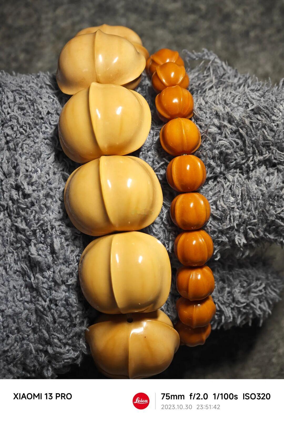 NO.304 大小猴头鲨鱼