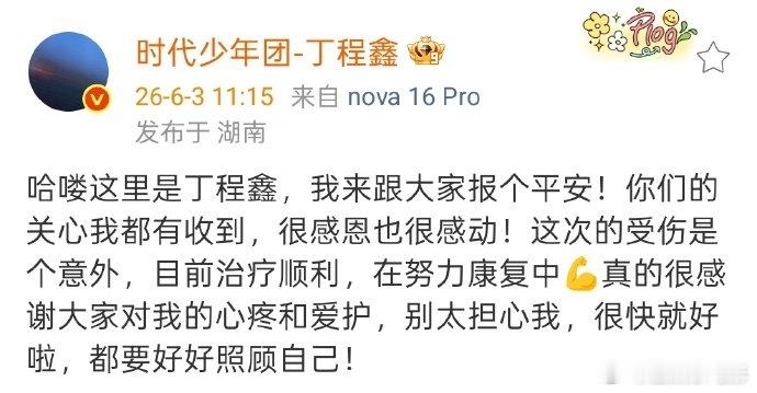 丁程鑫说受伤是意外 丁程鑫发文报平安，说手指骨裂受伤是意外，在努力康复中，感谢大