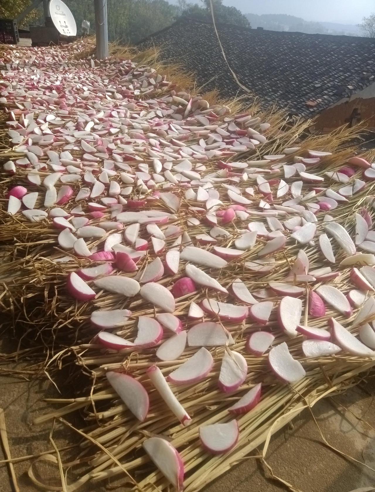 婆婆晒这么多萝卜怎么吃啊