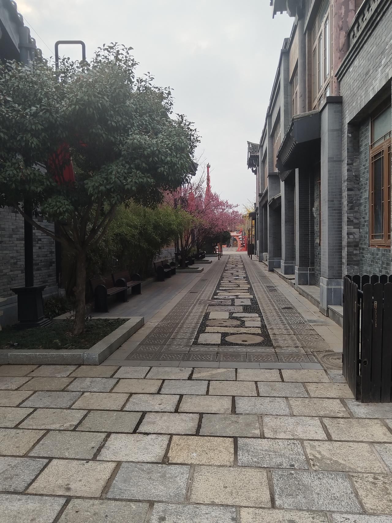 年就这样悄悄地过去了，人们又开始为了生存忙乎起来了。