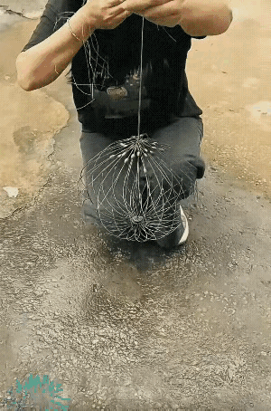 不懂就问，这个能卖一个给我吗？