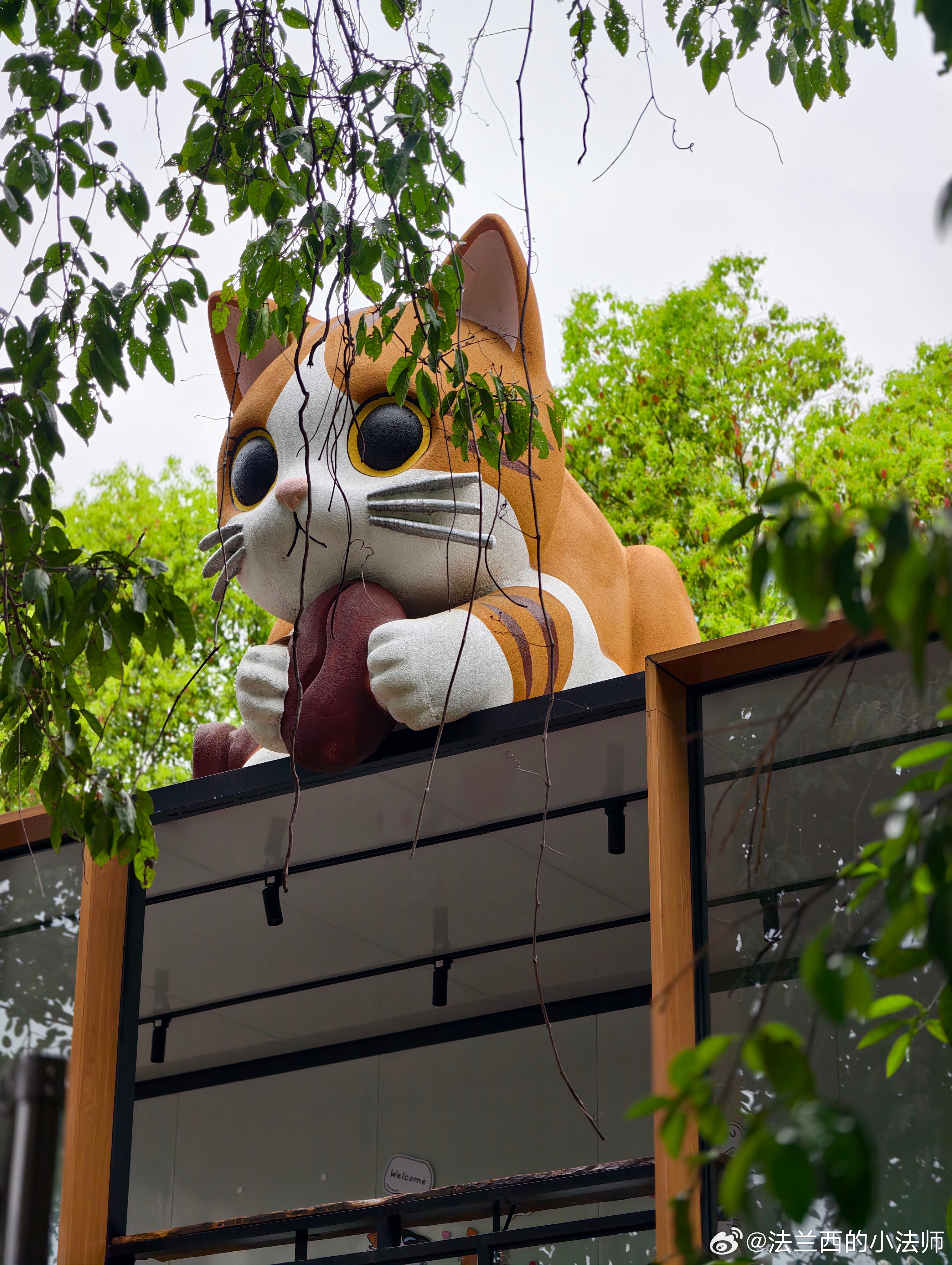 哈哈哈哈，终于圆了某些人的心愿，尽情的撸上了猫！传说中猫猫靠自己出卖色相打工赚猫