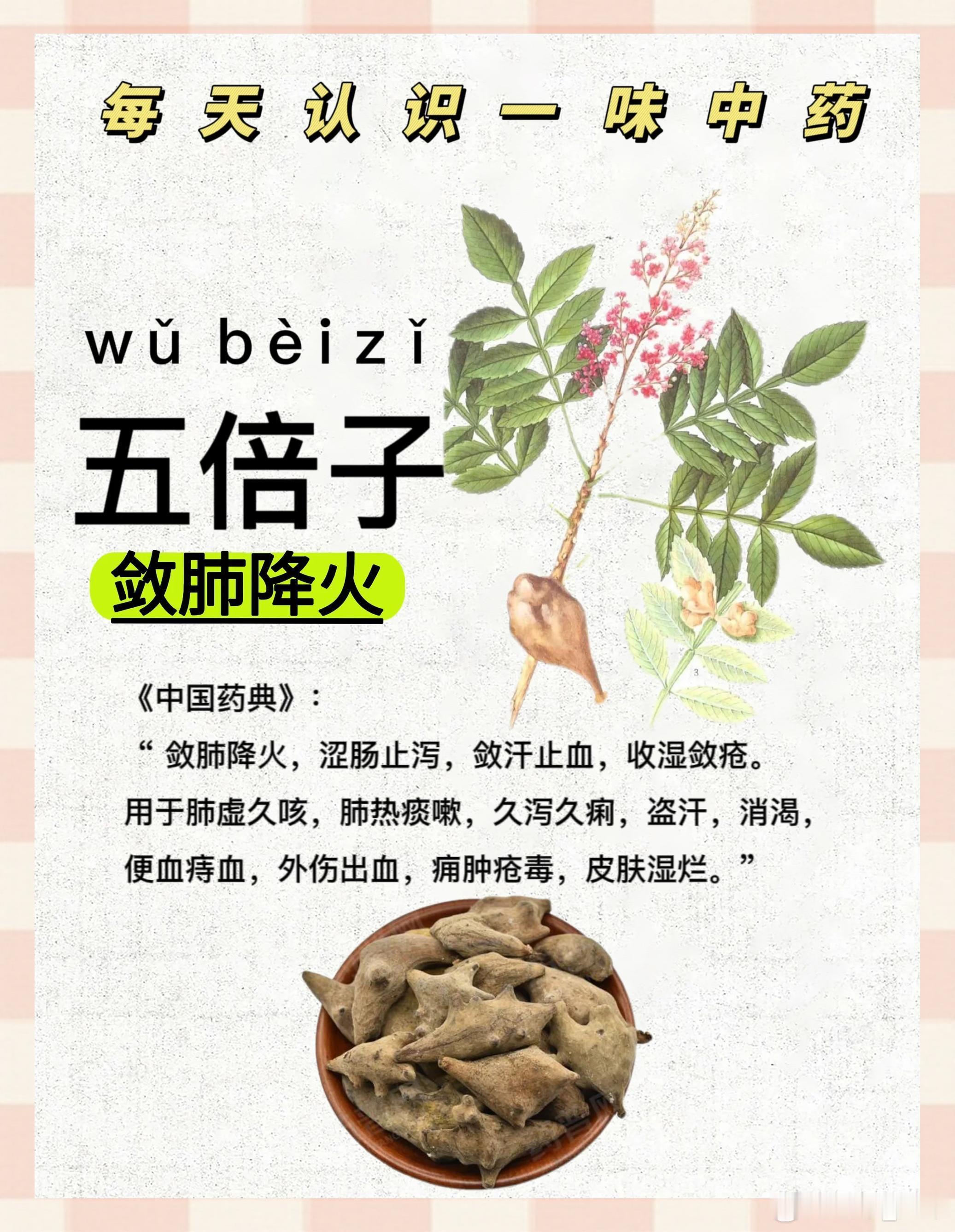 一则单味药止咳止汗方五倍子酸、涩，寒。归肺、大肠、肾经。分类收涩药-敛肺涩肠药功