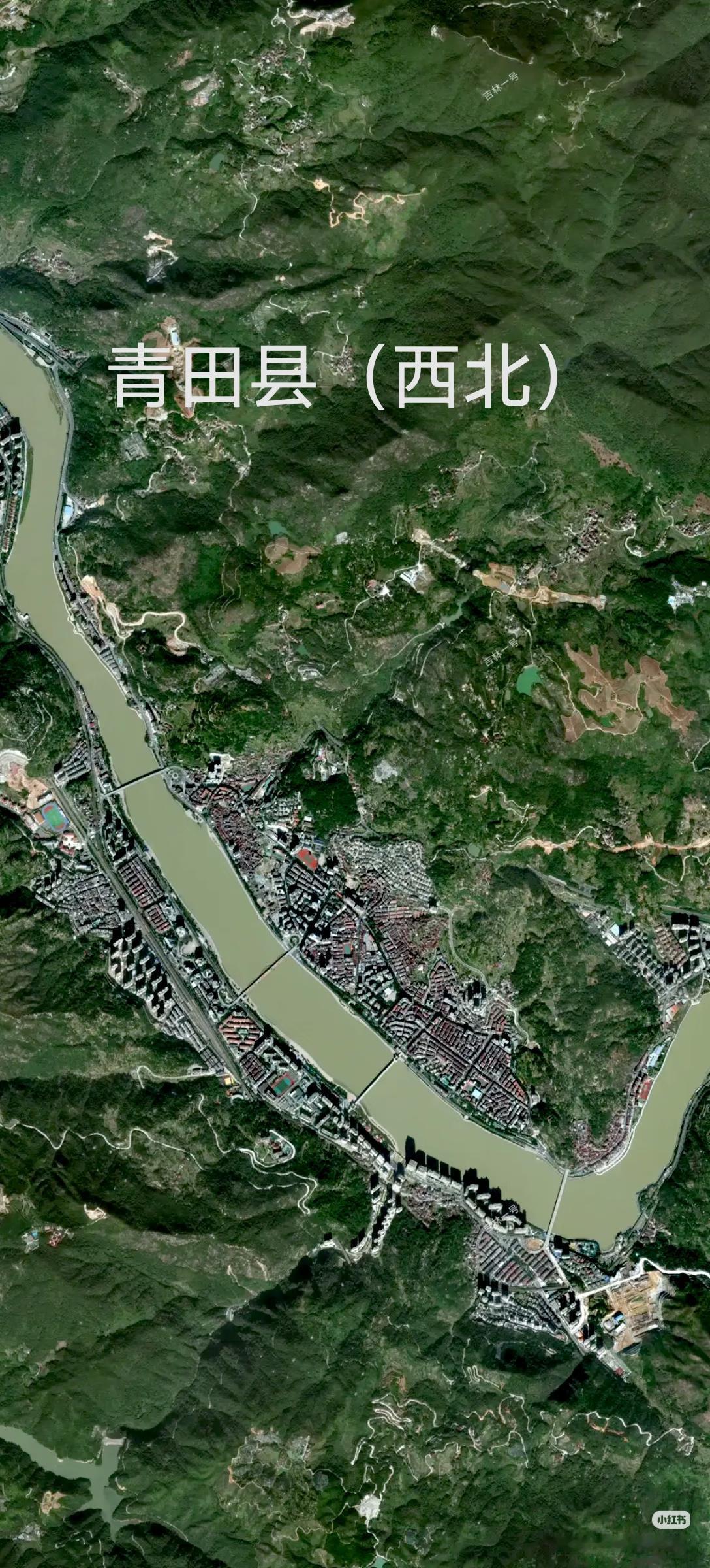 浙江省青田县高清卫星图