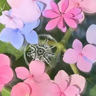 阳光信用 🍀阳光信用 🌱每日一善 这世上的确没有什么是比叫醒自己更困难的事。