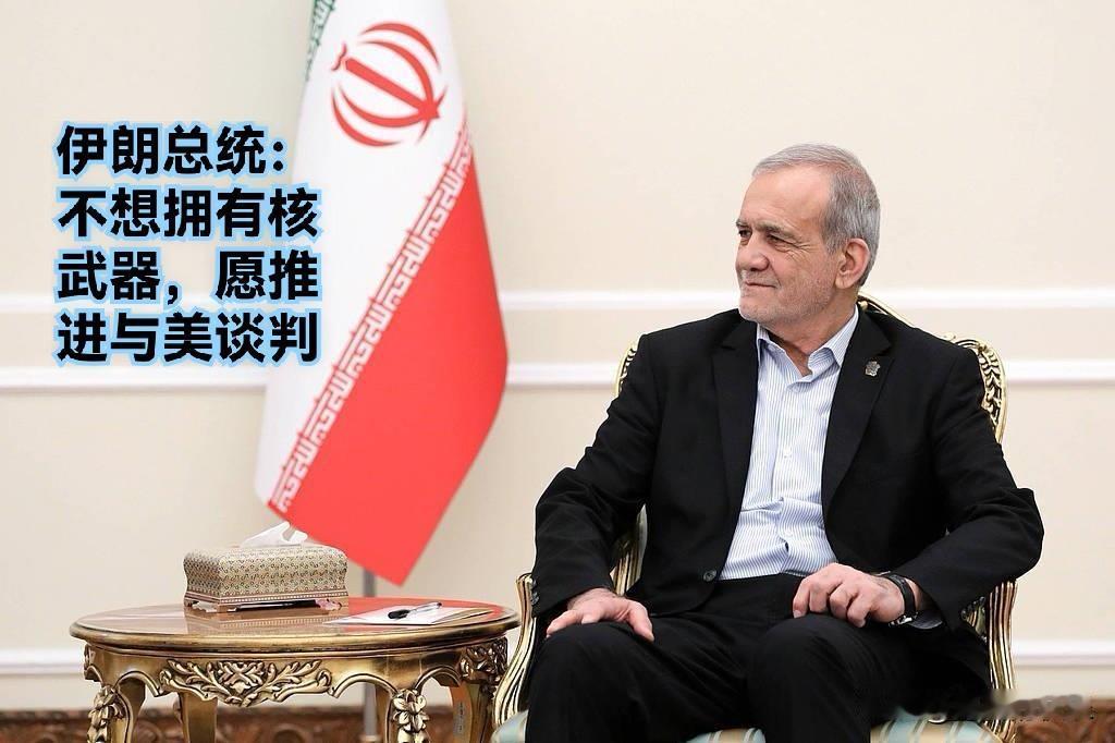 伊朗总统：不想拥有核武器，愿推进与美谈判

   据外媒报道伊朗总统佩泽希齐扬2