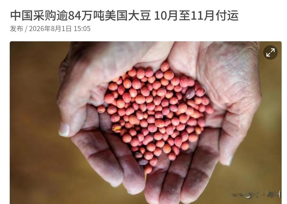 8月1日，根据联合早报报道，两名美国i交易商透露称，中国买家采购了至少14船、总