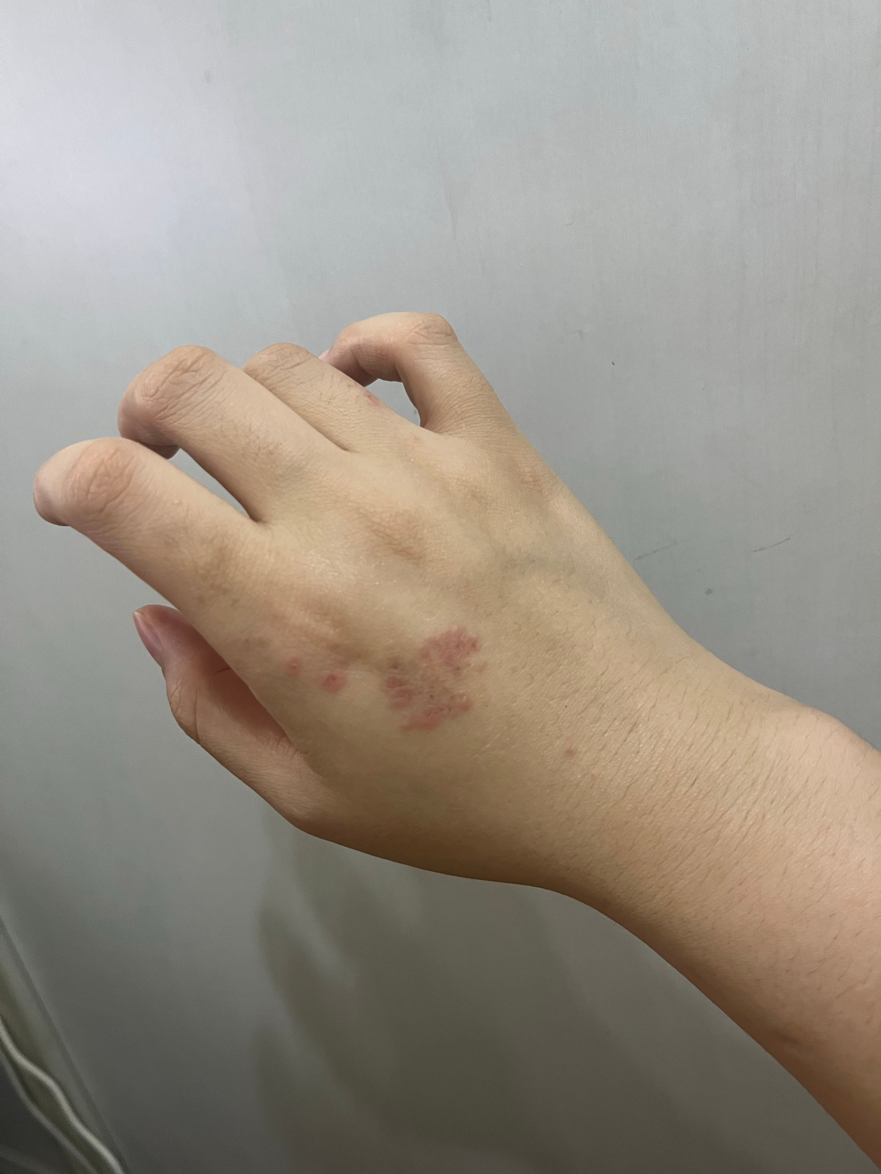 我已绝望 