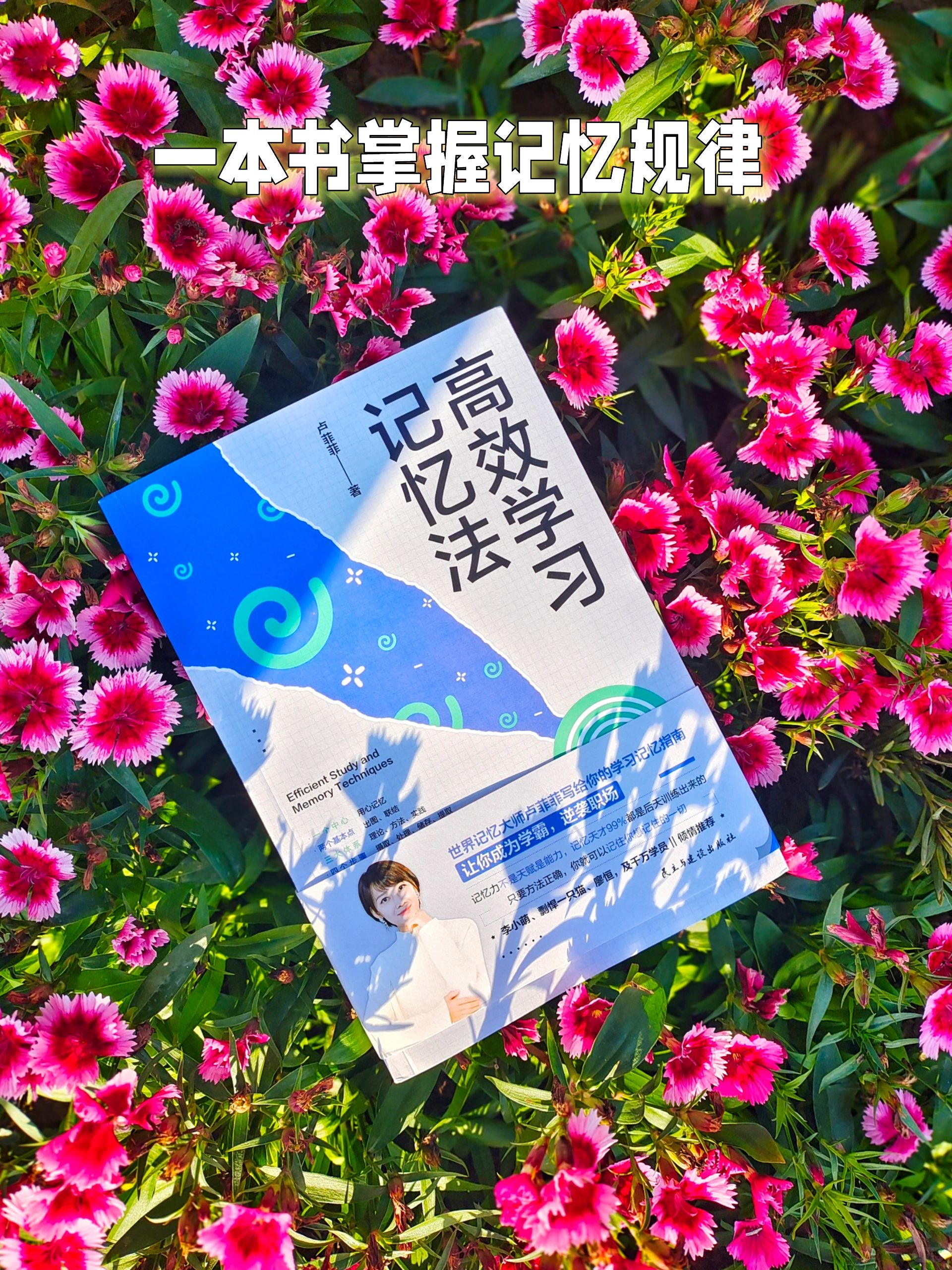 掌握这套记忆方法，逆袭成为学霸
