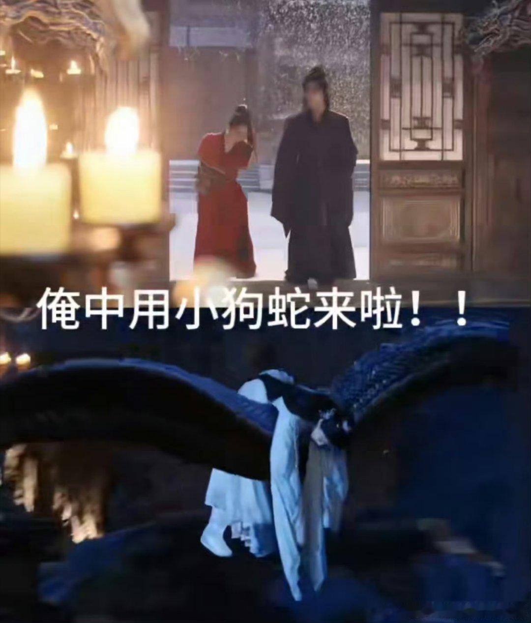 高寒黑廿九向师祖献上咸鱼开局叼着廖停雁给司马焦送“货”，失忆梗里靠嗅觉精准定位女