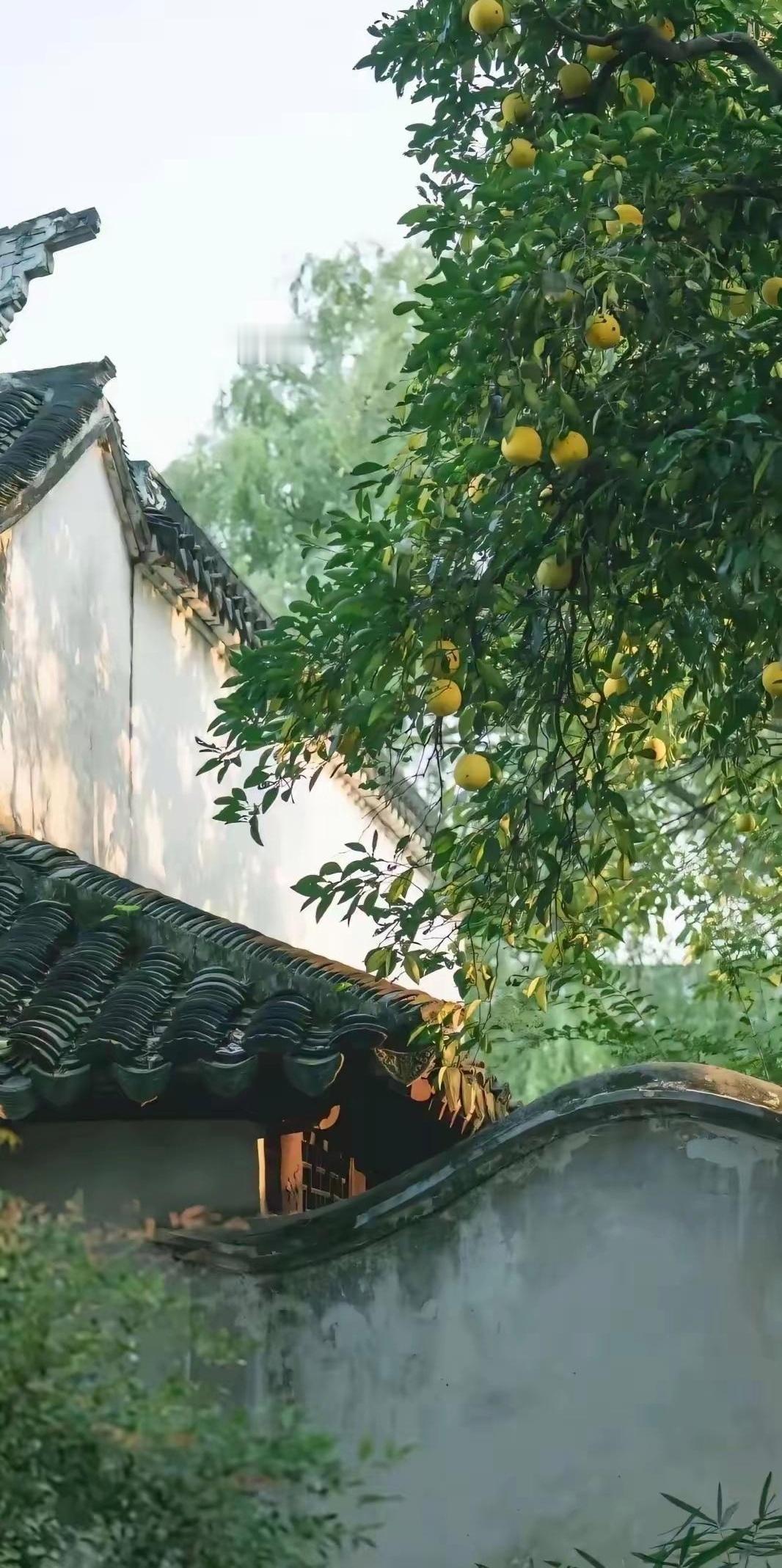 月薪一万在城里连个像样的包都不敢买，回村种地的发小却全款提了车？今天掏心窝子说几