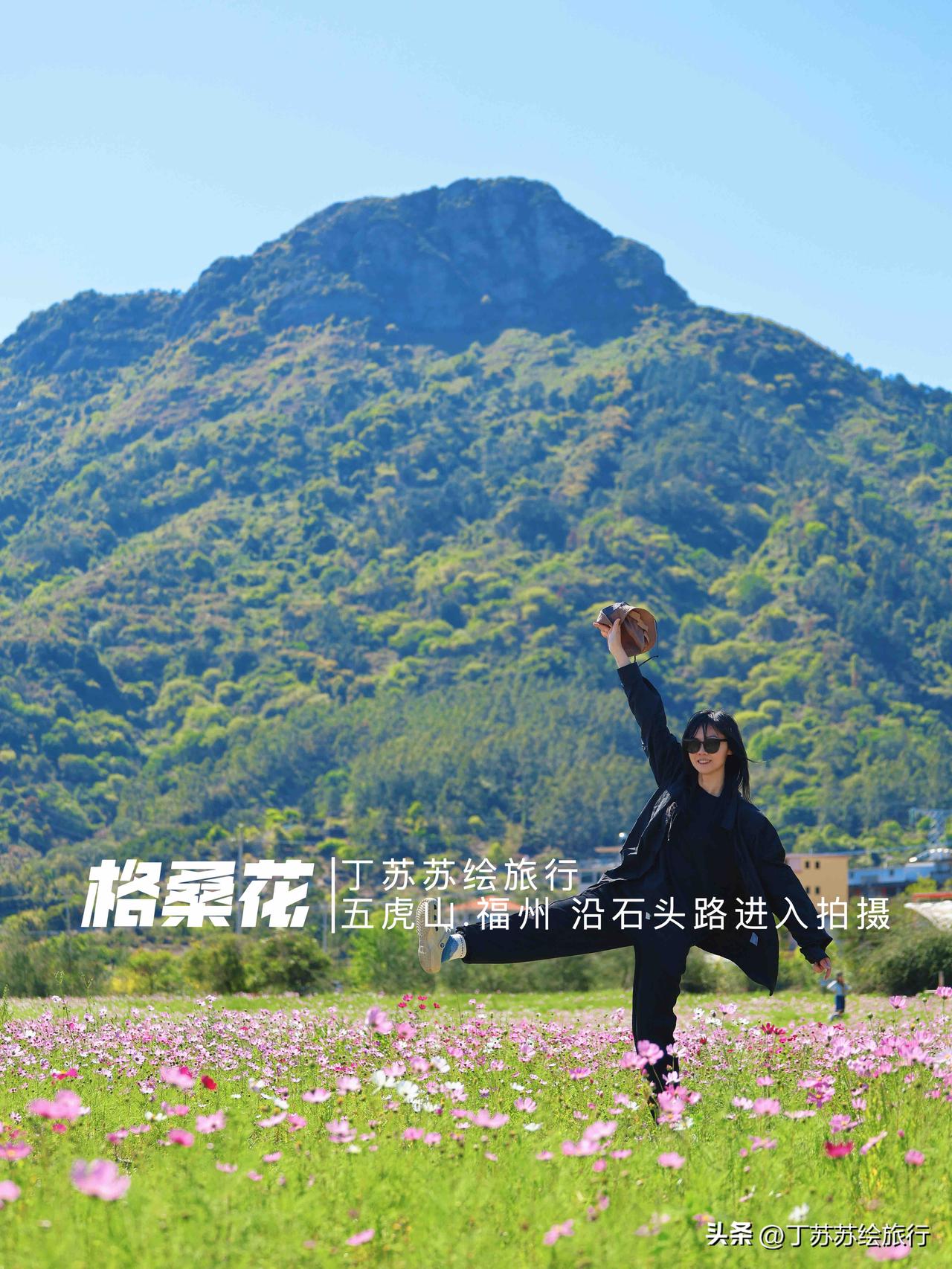 自驾0.5H福州宫崎骏风花海免费露营赏花放风筝‼️格桑花一站出片指南！周边游玩新