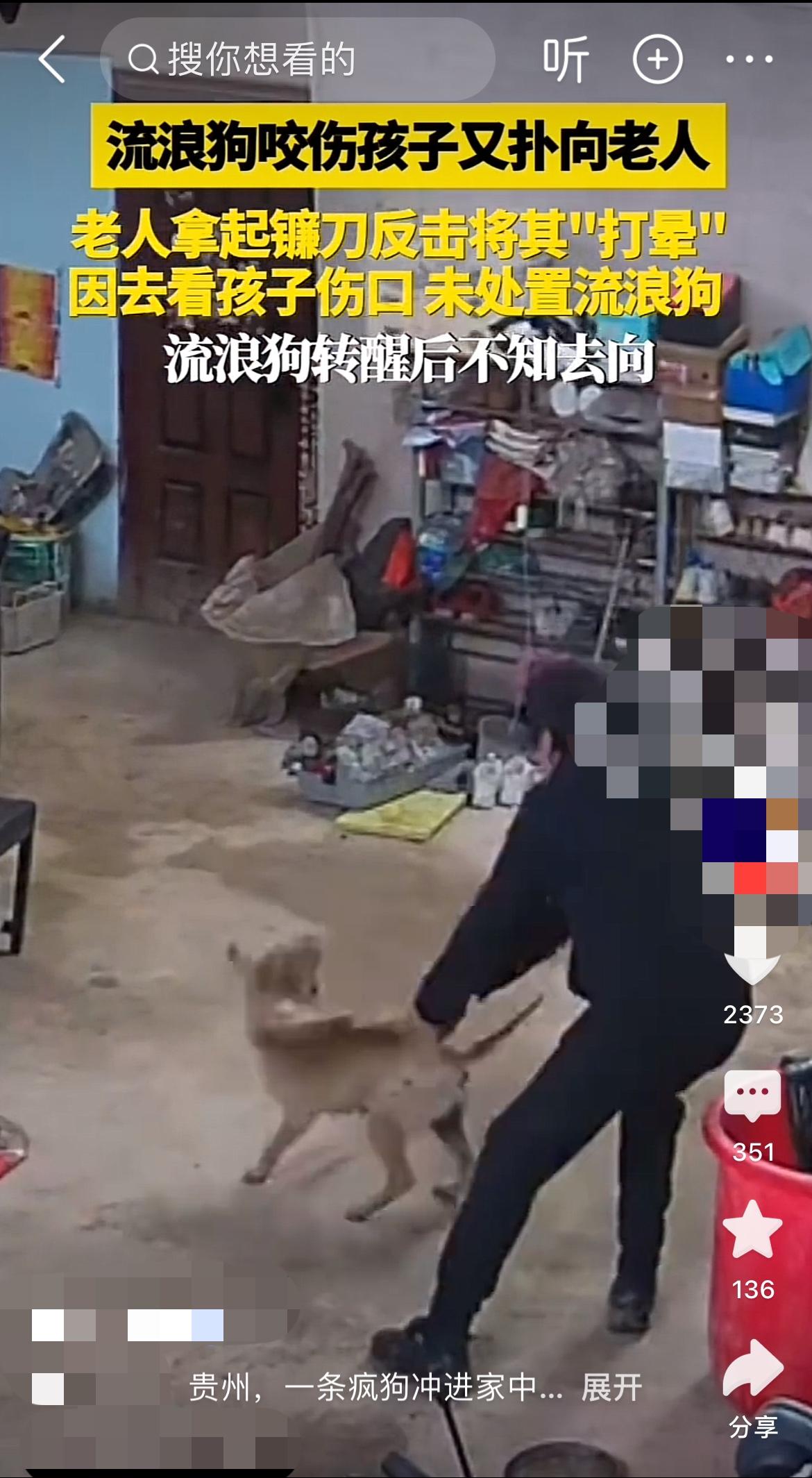 疯狗连咬2人！贵州老人一棍打晕保命！
“疯狗咬孩子了！”
在贵州，一户人家的院子