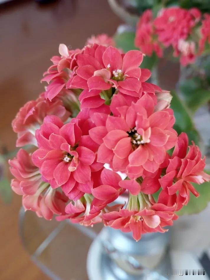 #你最喜欢的季节是什么#“春季最喜欢。一年之计在于春”，熬过严寒的“最后一搏”，