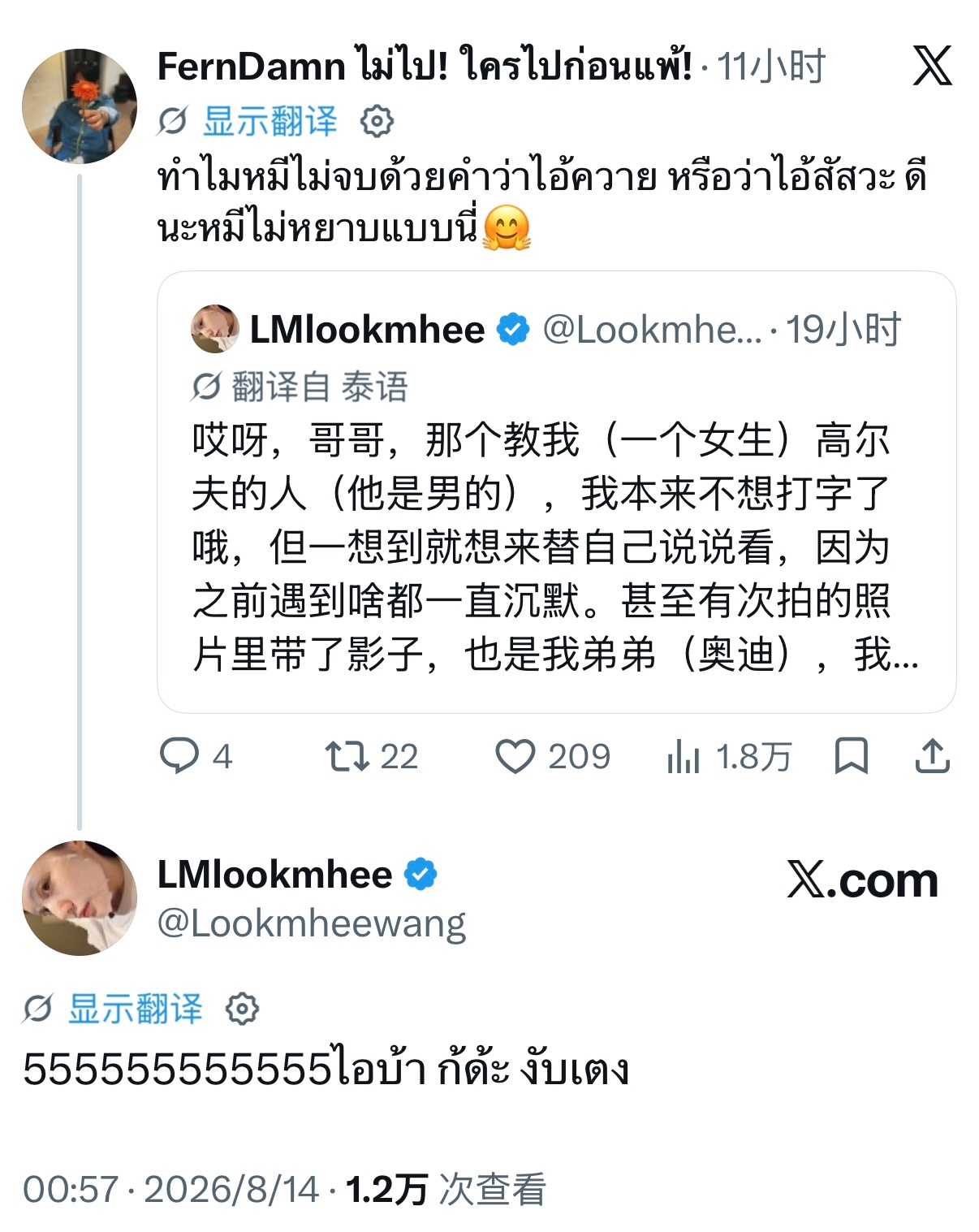 ：为什么Mhee最后没有用“ไอ้ควาย”（你这头蠢牛）或者“ไอ้สัส”（