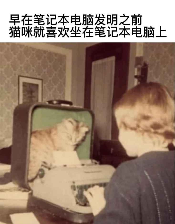 专属位置#今日memes##我的幽默搭子##定格# ​​​