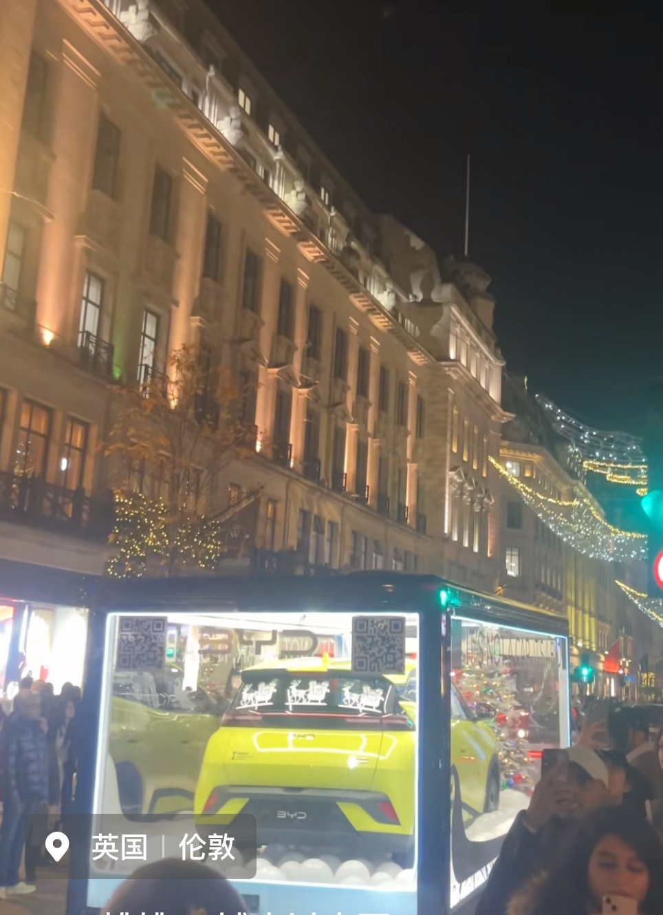 海鸥在国外这待遇，也是没谁了。 