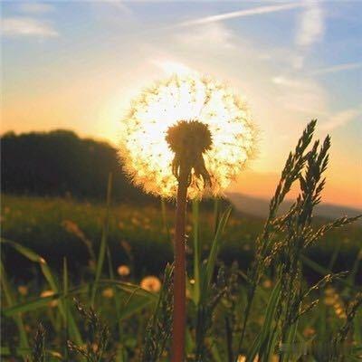 平淡的生活，因细节而满是风味。细碎的温暖、不经意的温柔、眼前的小小欢喜，如同调味