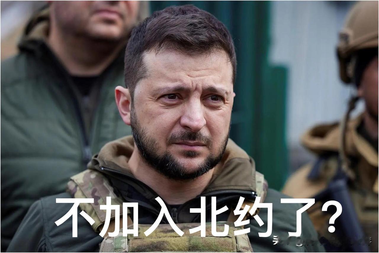 弃入约、让领土？泽连斯基的和平试探，能止战吗？

12月24日，乌克兰总统泽连斯