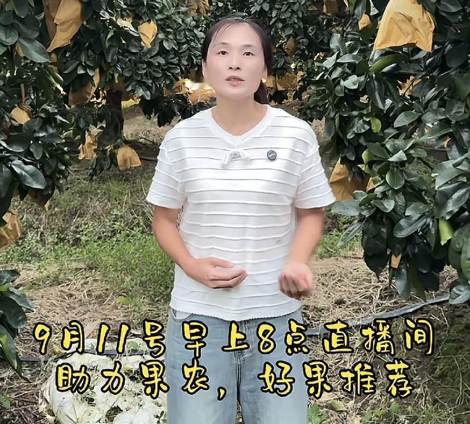 瑾汐直播时间定了
今天瑾汐公布了平和红柚助农直播时间
选在了8月11日直播
其实