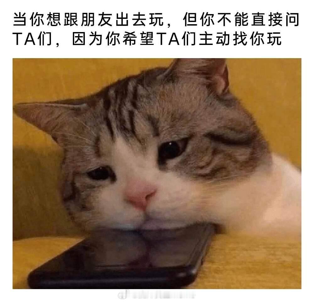 网友投稿图片选集