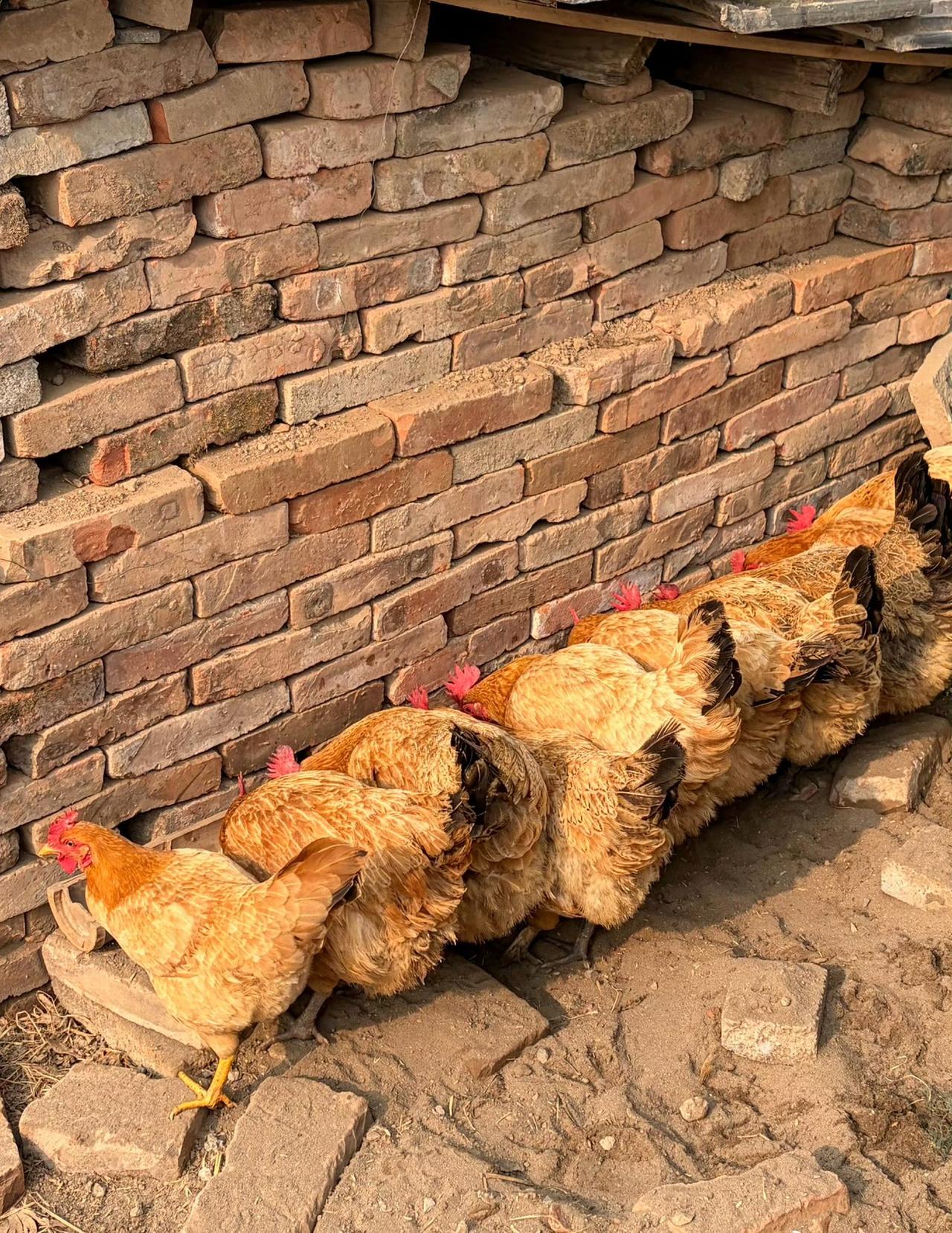 我没什么理想，如果有都付诸了平常…