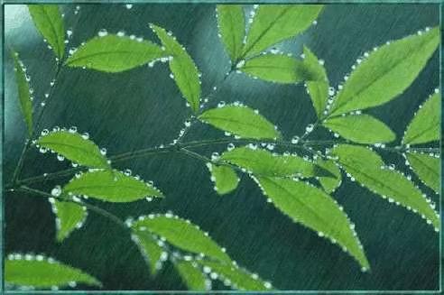鹧鸪天·夏日盼雨
作者：丹阳
赤日炎炎百木蔫，地皴千壑盼清泉。
忽卷热浪南风急，