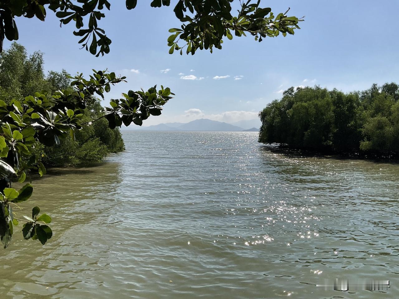 认知调整，也叫作‘拔出第二支箭’
第二支箭？这是什么？
这是个佛学故事。一个人被