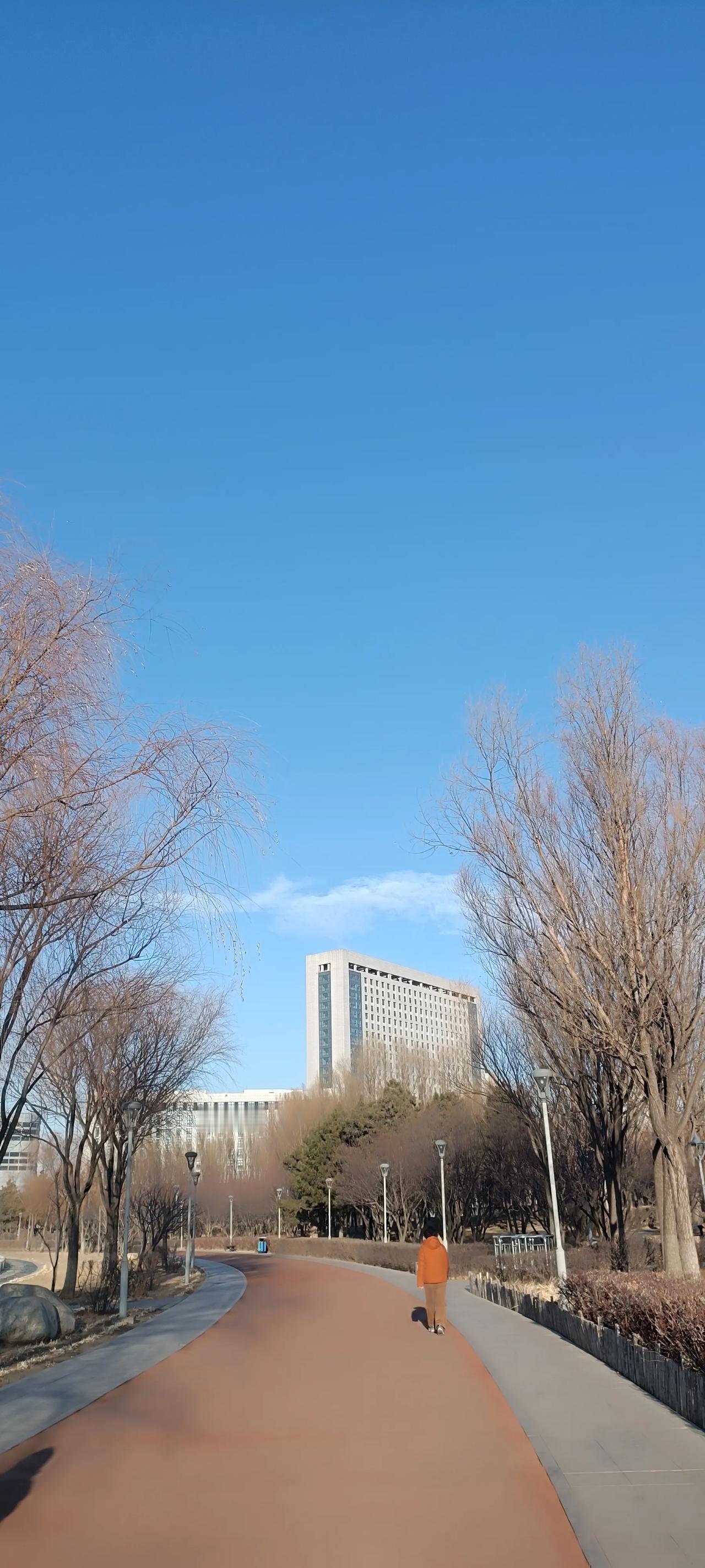 真的很难，但我做到了！拒绝了今晚的一场麻将，紧接着又拒绝了明天的一场。自此，我不