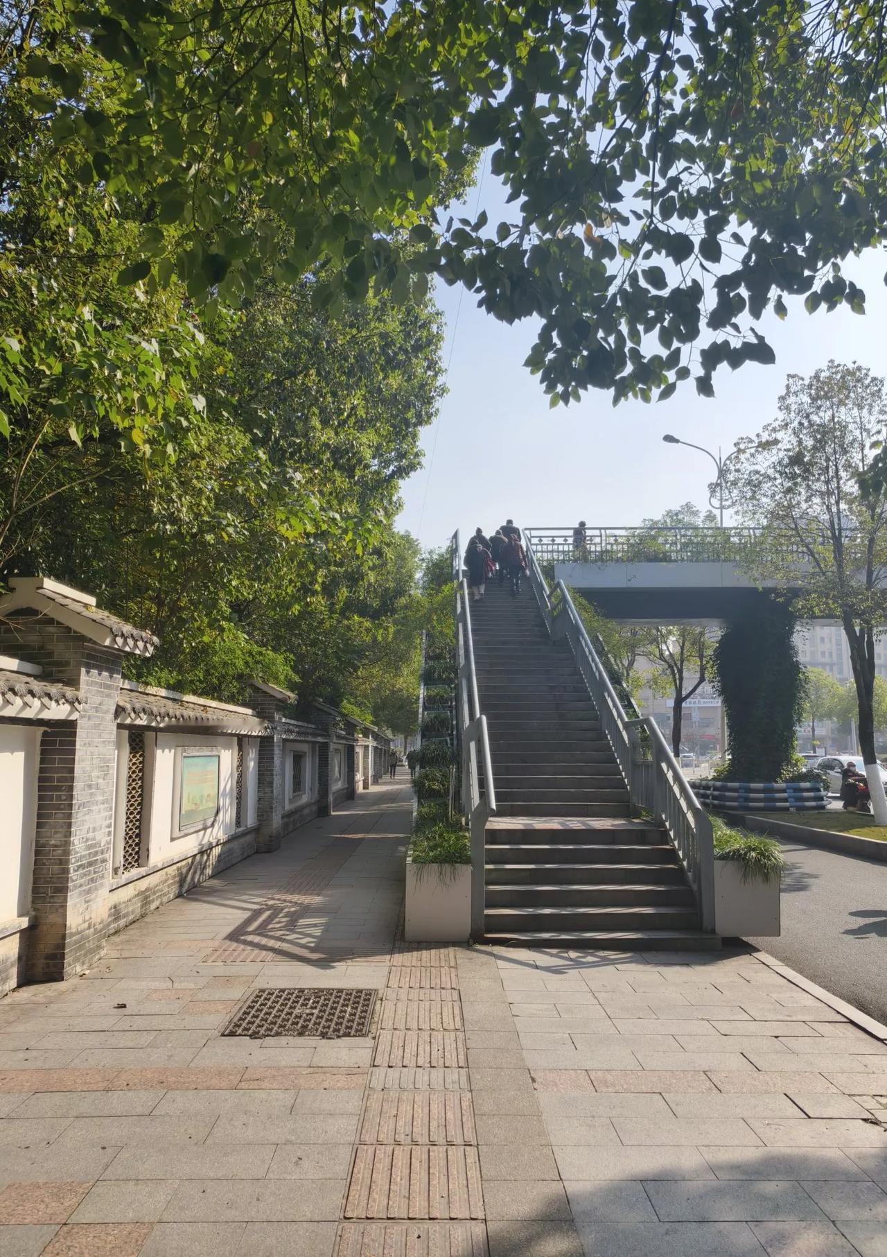 蓝湖天桥
        ——南木子
蓝湖国际美天桥，
市民安全一通道。
老人小