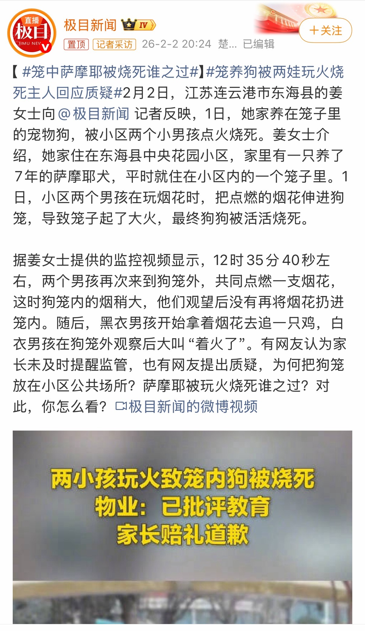 看完全貌，唯一的受害者就是那只可怜的金毛….两男孩烧死邻居狗狗家长愿赔6000元