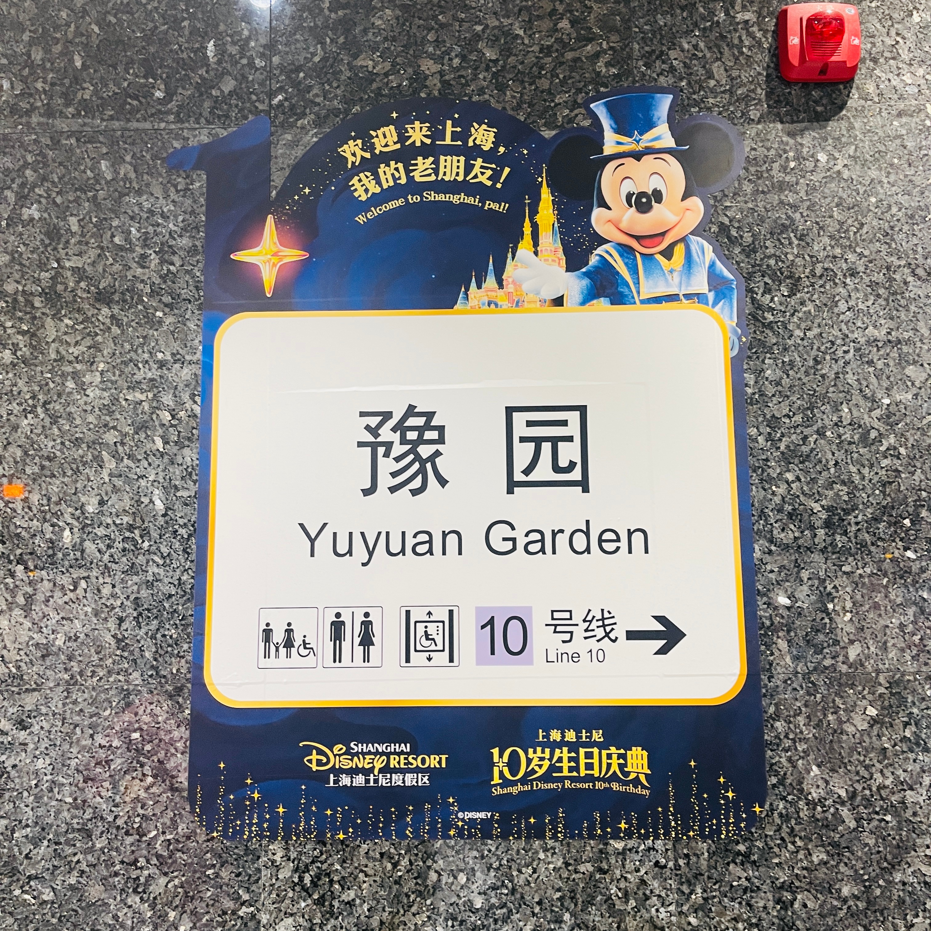 广西差点把我热晕，上海给我冻醒！ 